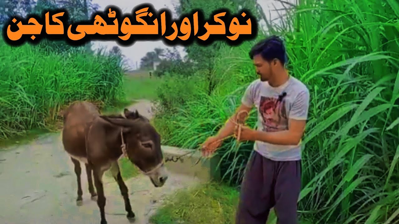 Nokar & Ring Ghost Funny Comedy Videos | Malik Ban Gia Ghreeb 
