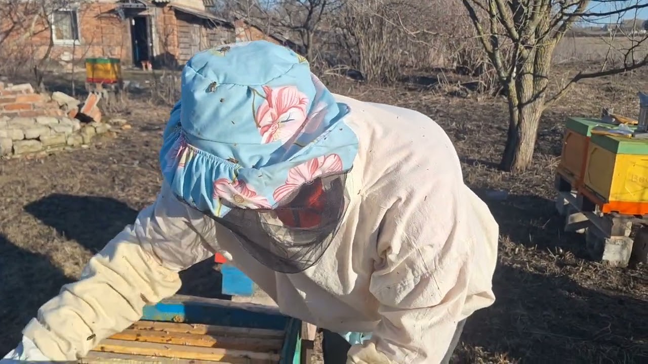 Хочешь собрать весенний мед? Весеннее сокращение гнезда по Блинову