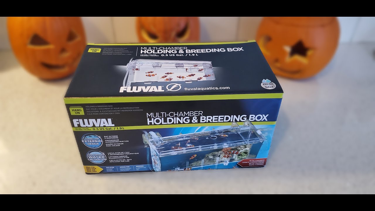REVIEW: The Best Hack For The Fluval Hang On Breeder Box Seen On YouTube