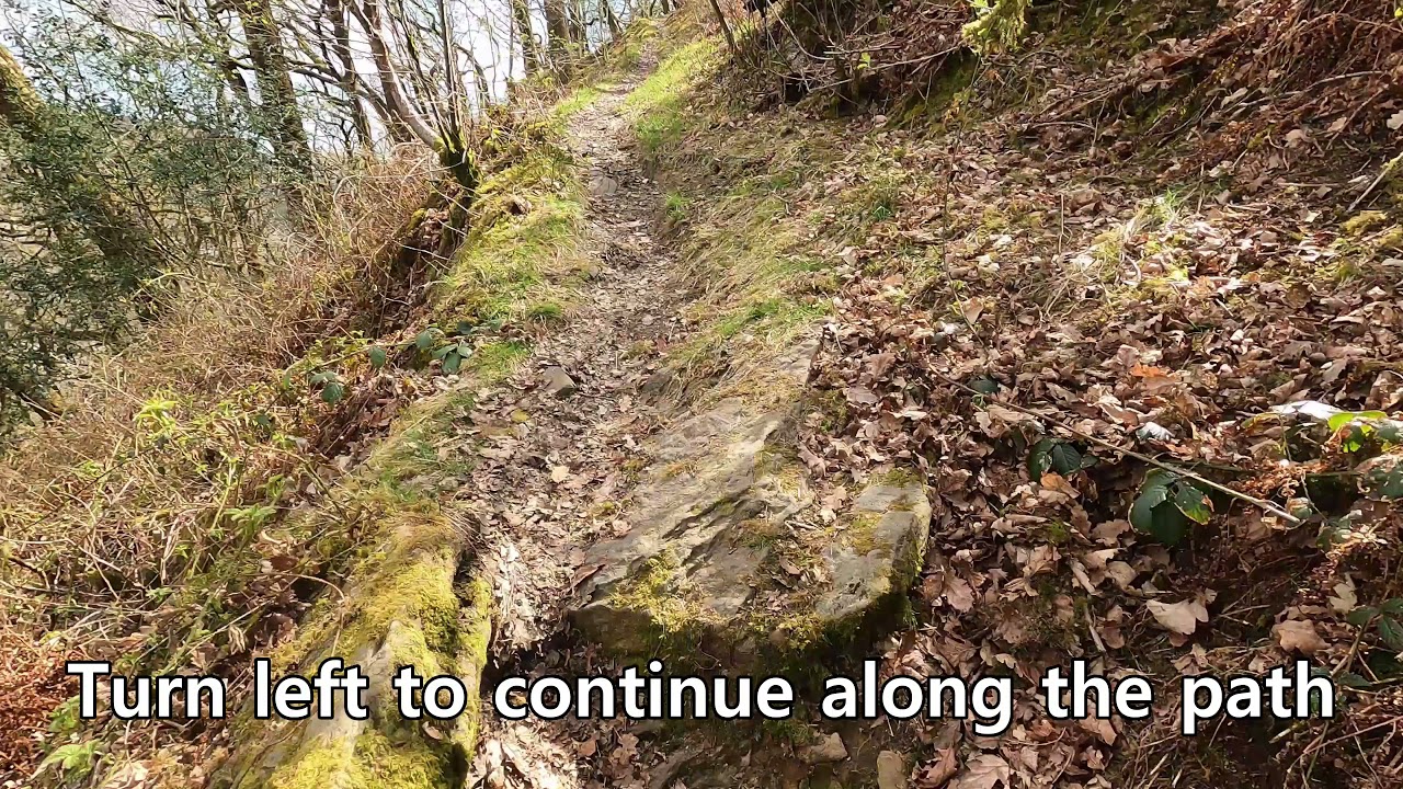 | Glyncornel Nature Reserve and Llwynypia Forest walk