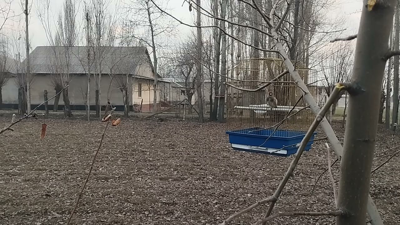 20 февраля 2026 г.