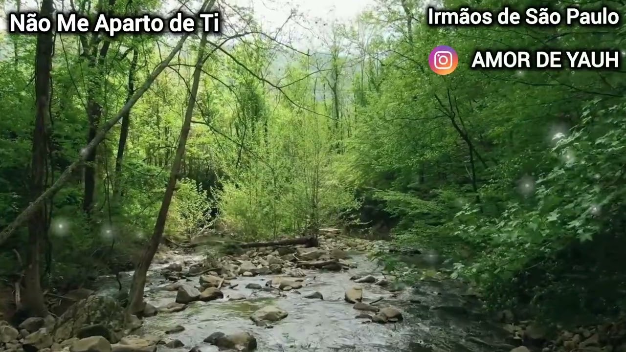 Não Me Aparto de Ti
