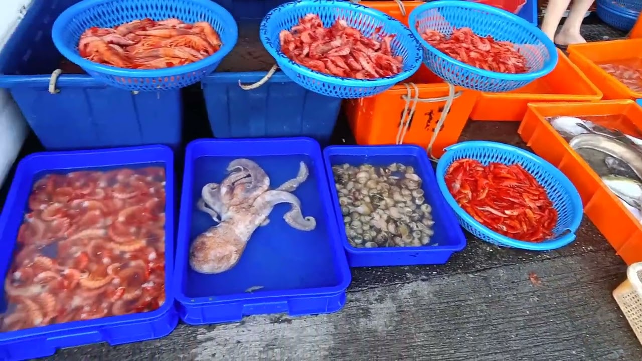 #大溪漁港 #Yilan Taiwan fish market in the fish port #fishport #seafood