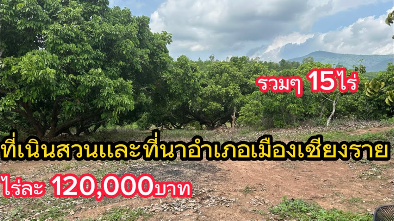 SS.23177 (ปิดการขาย)ที่เนินสวนลำใย เเละที่นา ใกล้อำเภอเมืองเชียงราย 16กมเอกสารบางส่วนเเละที่ครอบครอง
