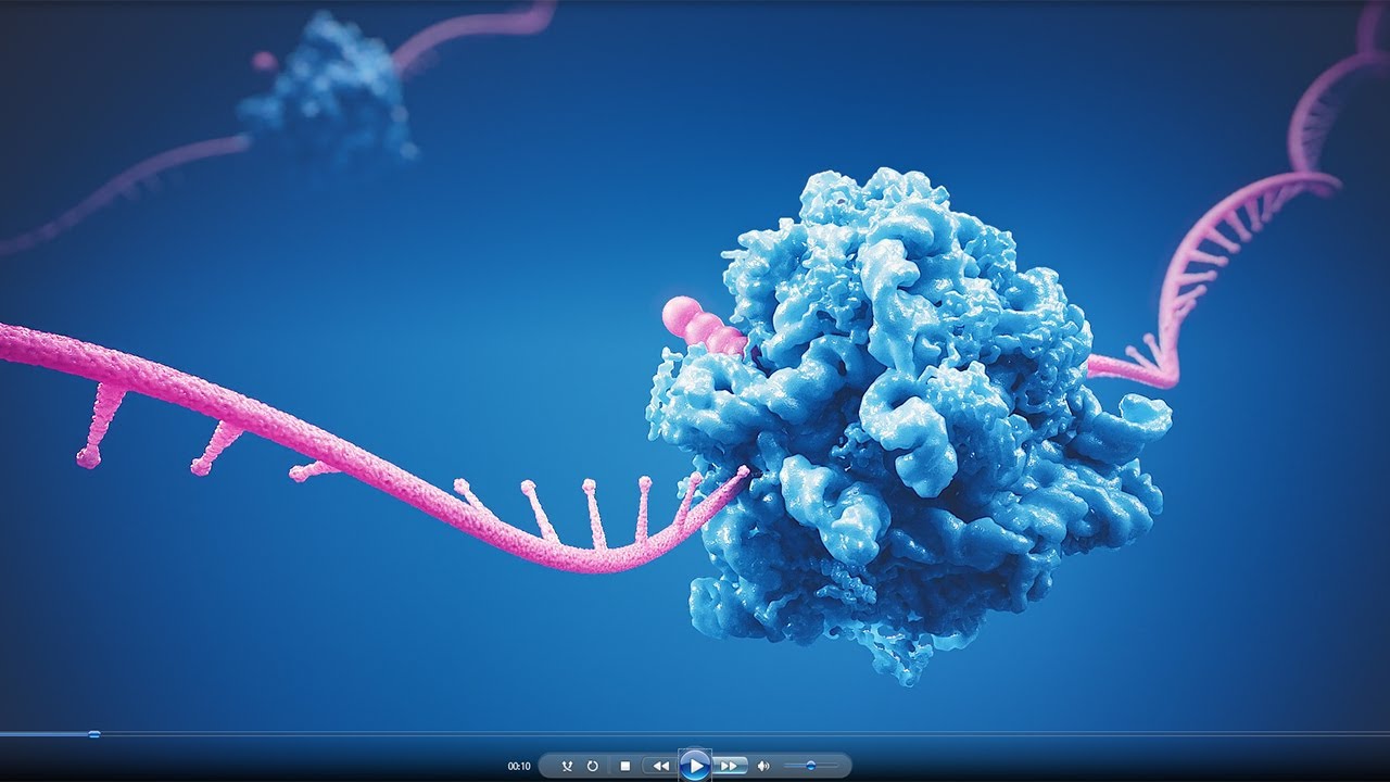 Purification Your Way: siRNA to mRNA