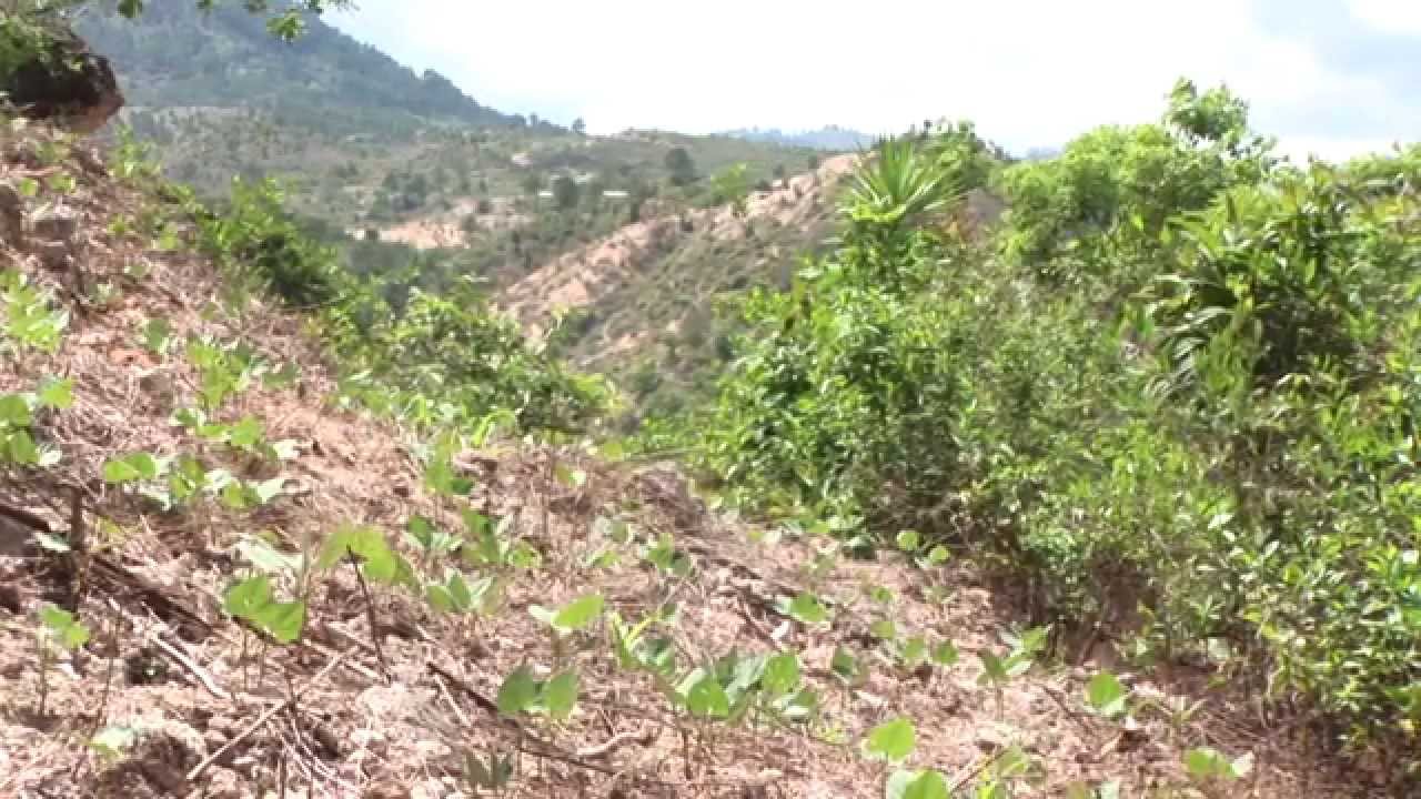 Arar menos para cosechar más