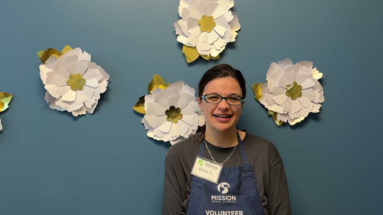 Ciara- Volunteer Spotlight