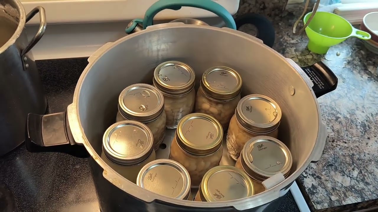 Pressure canning Northern Beans