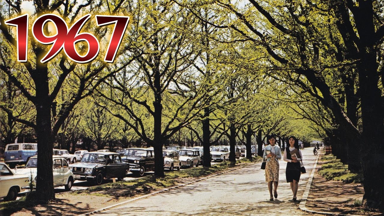 1967年　イチョウ並木が美しい場所は現在どうなっていますか？