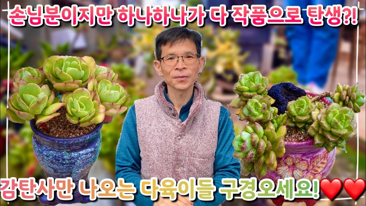 손님분이지만 엄청난 작품 탄생 ?! 하나하나 예술작품으로 새로 태어난 육이들 구경오세요 ~!!!