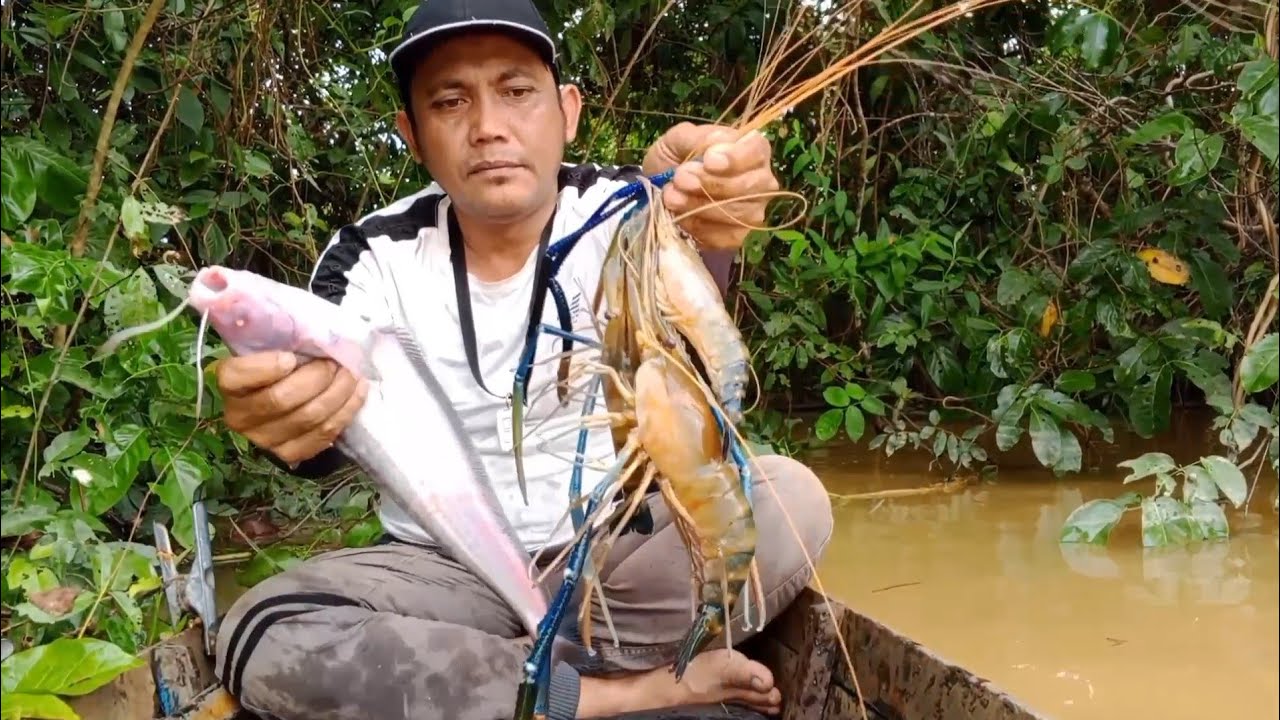Berburu udang galah di awal tahun 2026‼️mancing udang galah terbaru