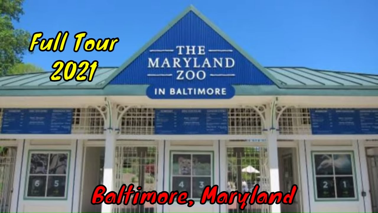 The Maryland Zoo in Baltimore Full Tour - Baltimore, Maryland