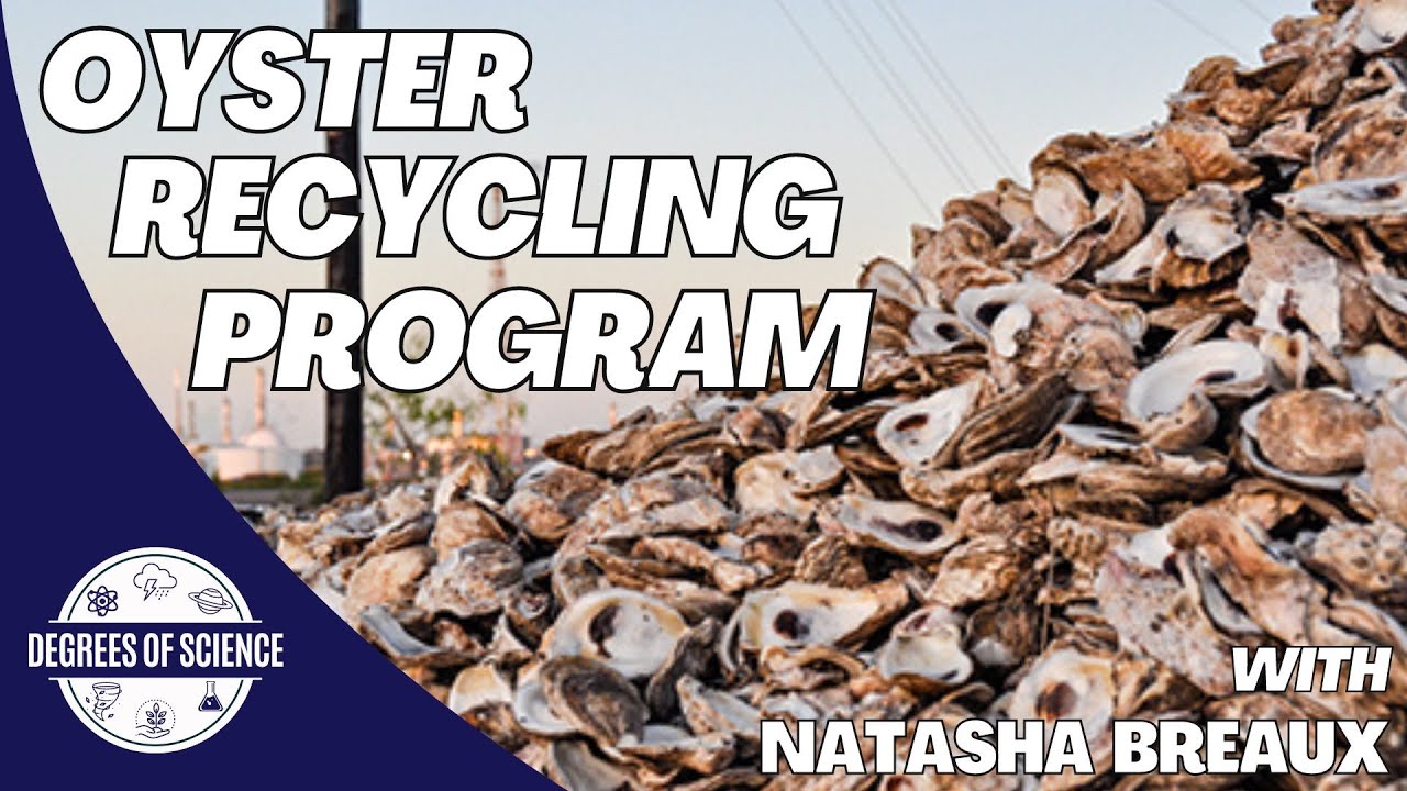 Oyster Recycling Program