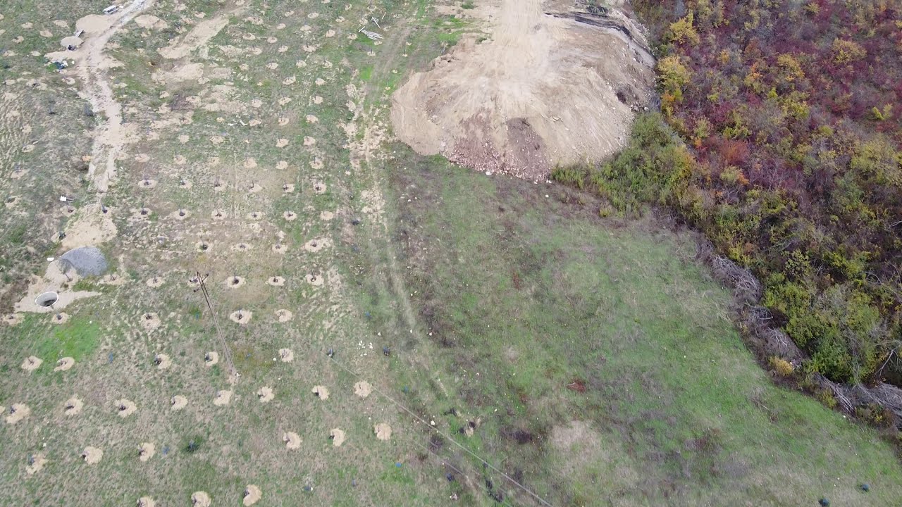 13 ноември 2020 г.