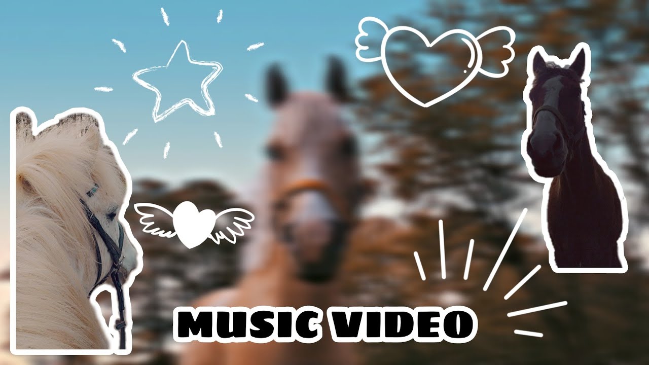 Music video // what is love - the red pill //