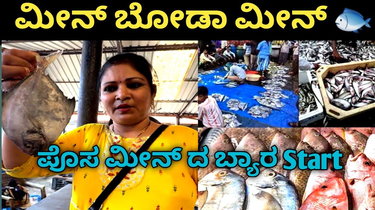 ಮೀನ್ ಬೋಡಾ ಮೀನ್ 🐟ಎನ್ನ ಮೀನ್ ದ BUSINESS START ಆಂಡ್ 🥰#fishmarket#vlog#tulunadu#entertainment