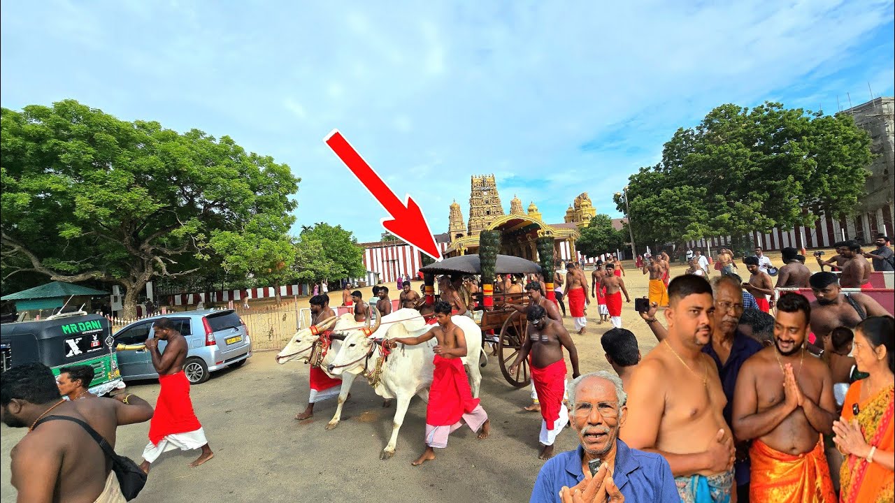 நல்லூரில் சற்றுமுன் மாட்டுவண்டிலில் வந்த பொக்கிஷம்- திருவிழாவுக்கு முன் இப்படி நடக்குமா? 