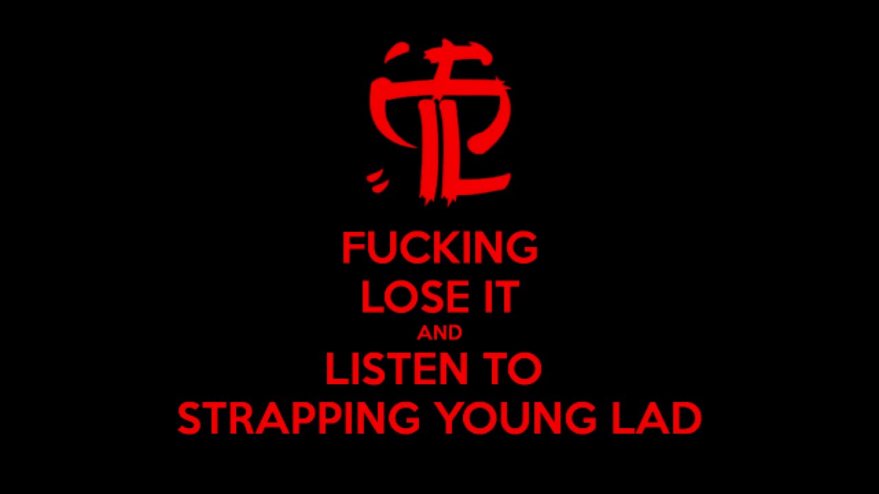 Strapping Young Lad - Live at Hultsfred 2006