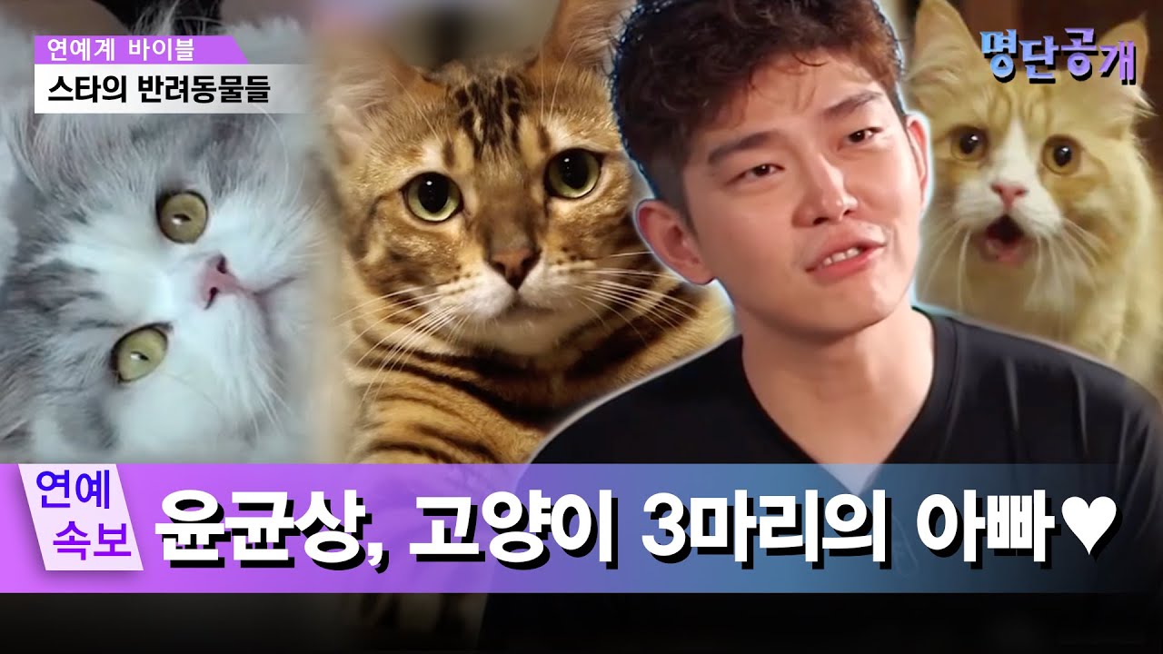 집사 윤균상, 3마리 고양이들을 위한 집에 얹혀 살아요★ #명단공개 183화
