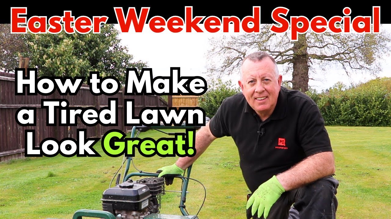 Bring Your Lawn Back to Life