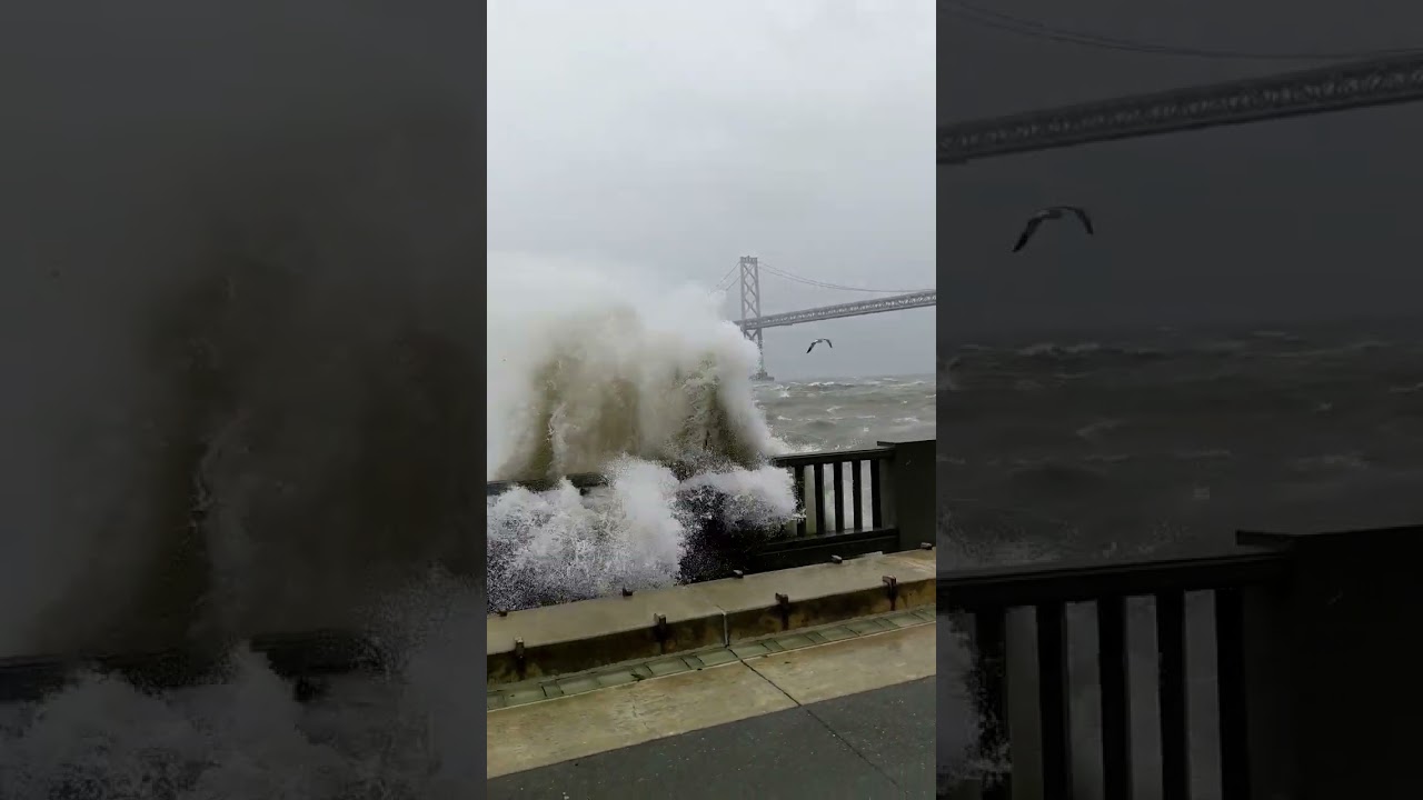 Gale Force Winds, San Francisco