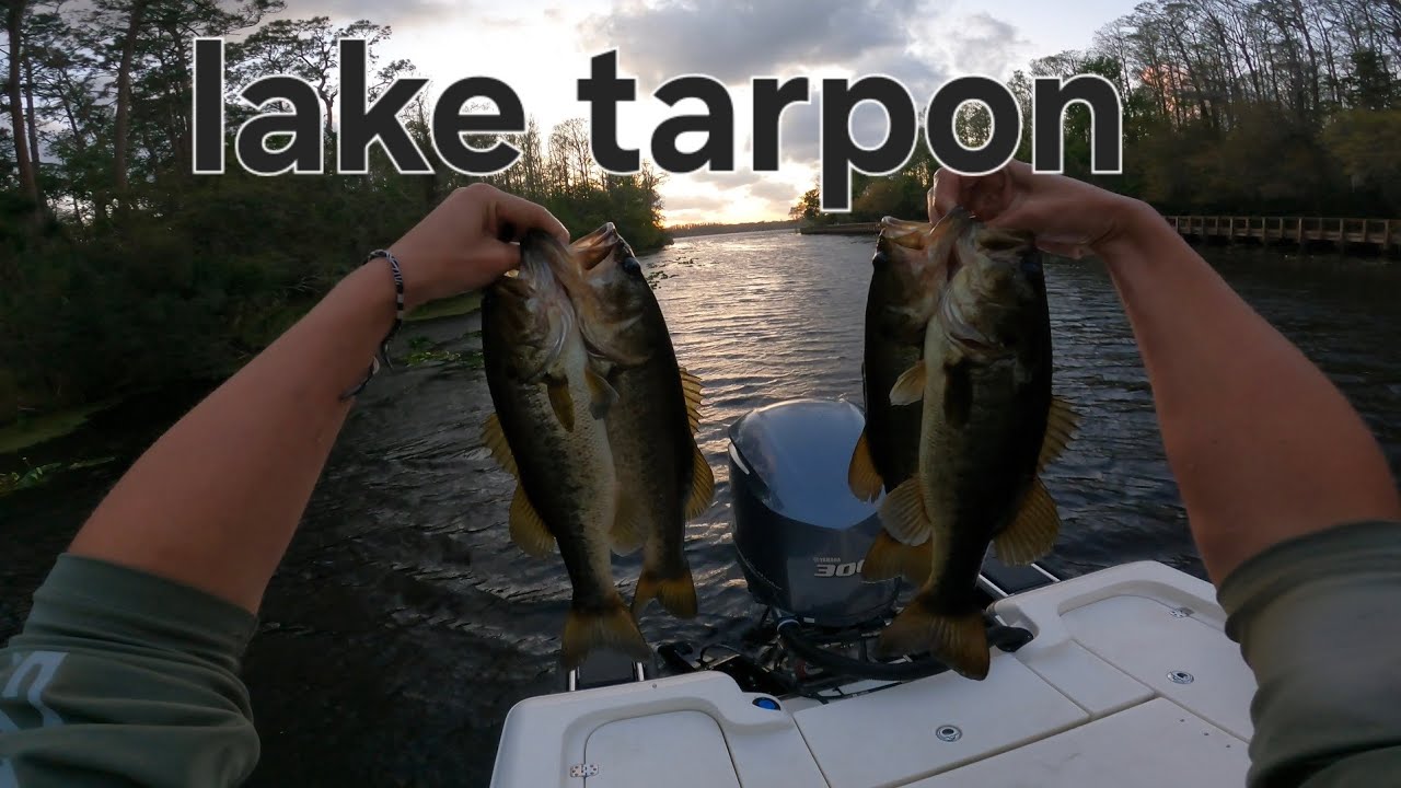 Fishing in 25 mph winds ( lake tarpon )