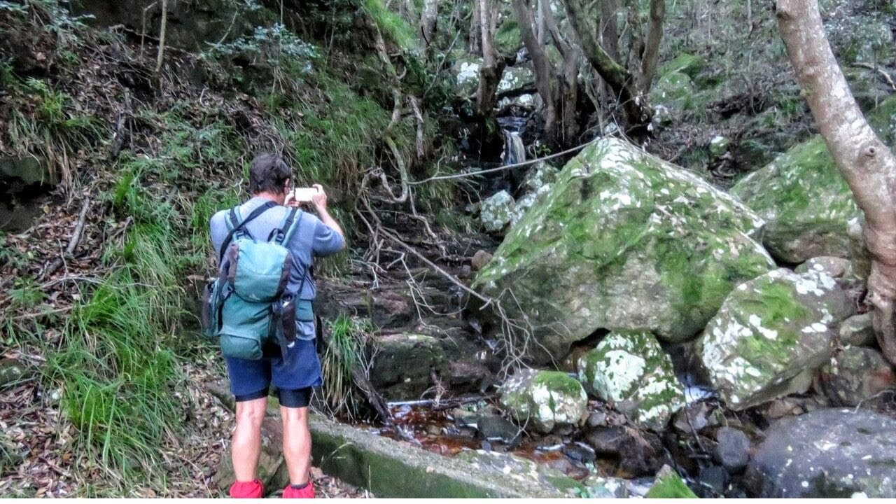 Table Mountain South Africa - Hiking Frustration Ravine Orange Kloof