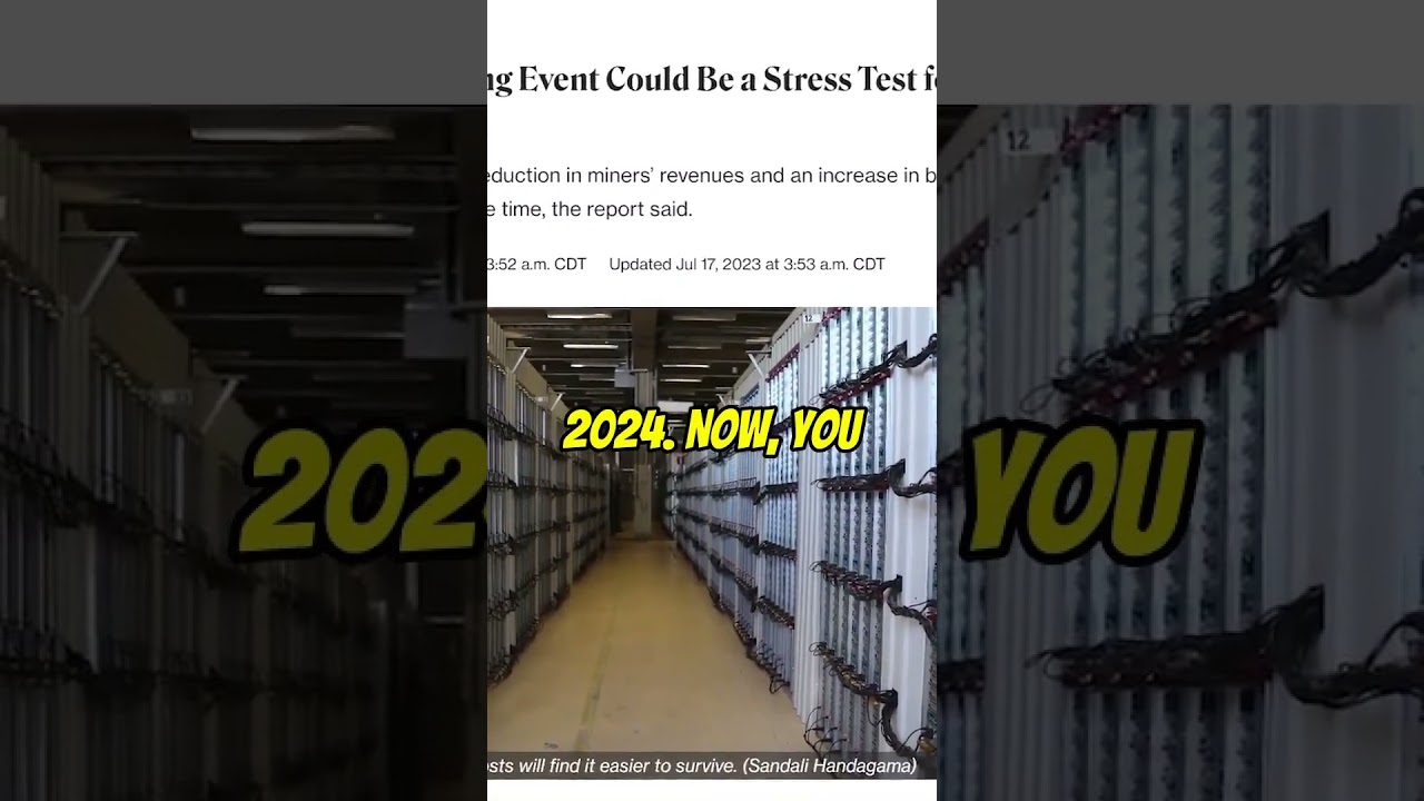 The Bitcoin Hash Rate: What to Expect from the 2024 Halving Event 