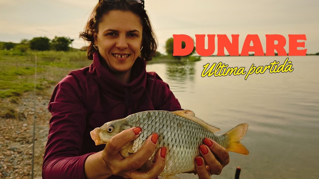 Bubuială la feeder. Ultima partidă de pescuit la Dunăre