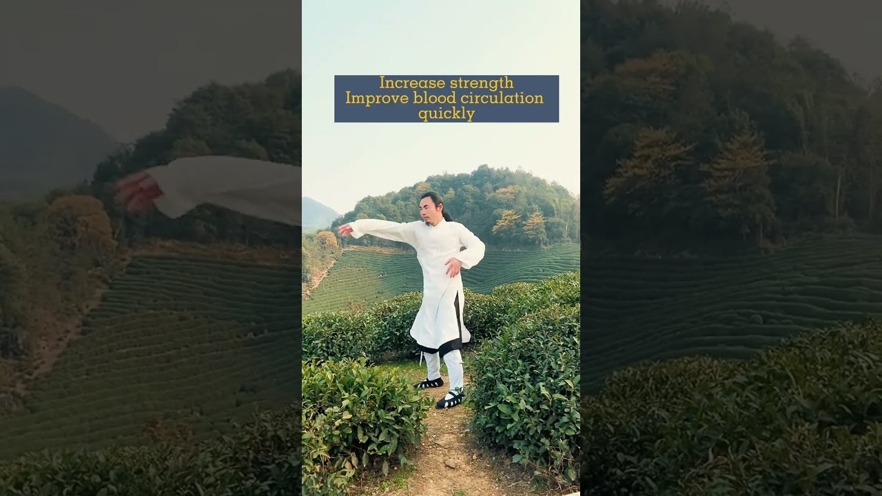Taichi strength exercises