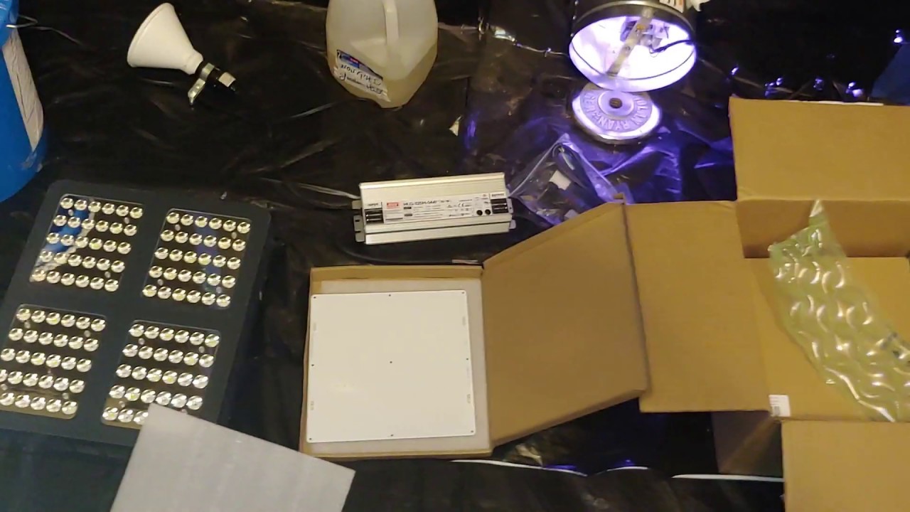 Viparspectra 600 vs quantum board v.288!