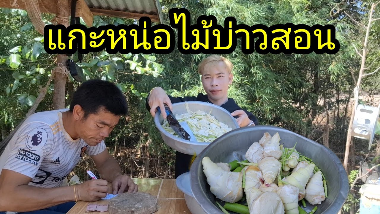 Ep: 1346 บ่าวสอนกับเจ๊ตุ๋ยตุ่ยไปเอาหน่อไม้มาแกงจา