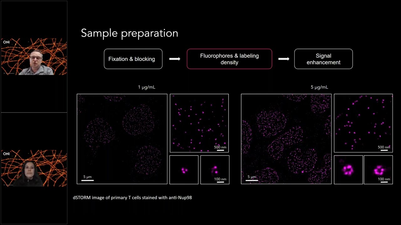 The Ins and Outs of Mastering dSTORM Imaging