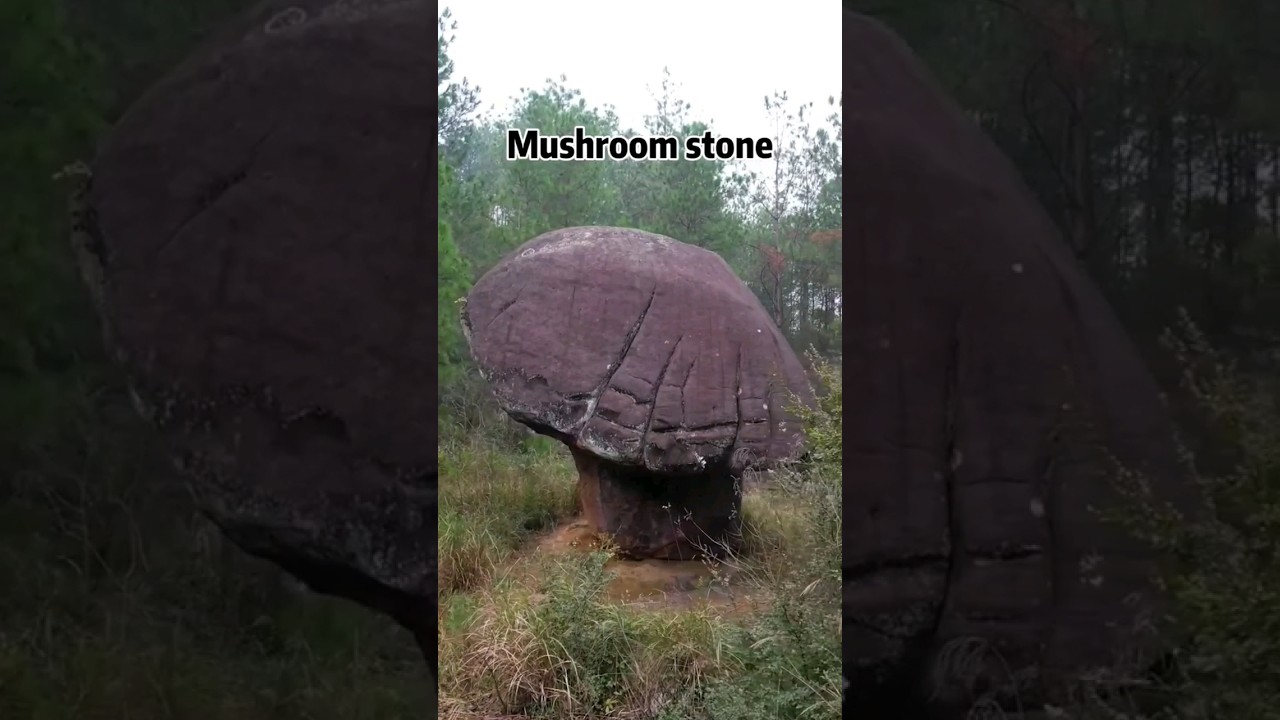 Mushroom Rock 🍄