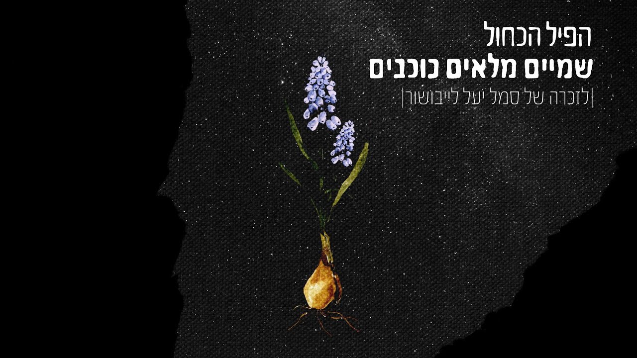 הפיל הכחול | שמיים מלאים כוכבים