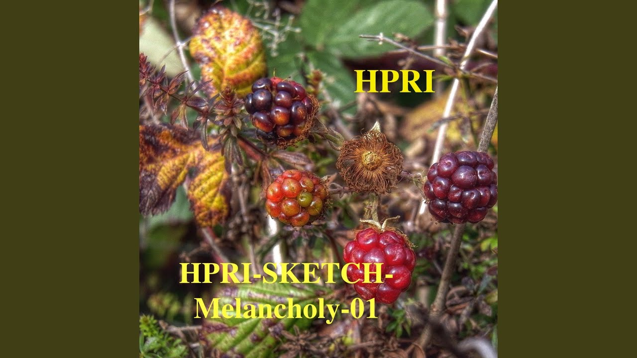 HPRI-SKETCH-Melancholy-01