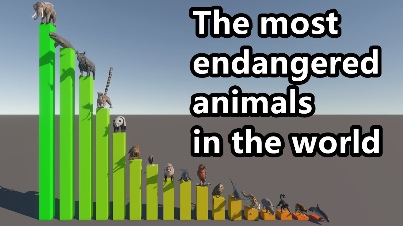 Comparing the Numbers of the World's Most Endangered Animals: A Call to Protect Them!