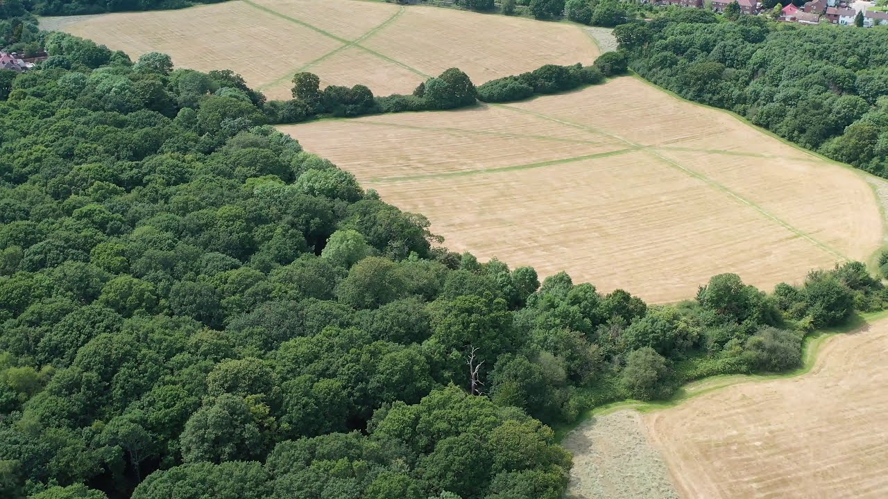 Fryent Country Park