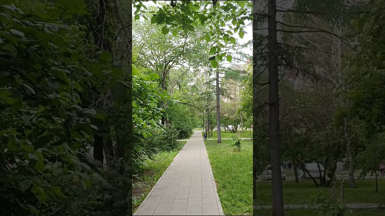 ГЛАВНЫЙ ХИТ НА ВСЕ ВРЕМЕНА ❤️ Наташа Копина life, Наташа Копина, #наташакопина #plussize #shorts