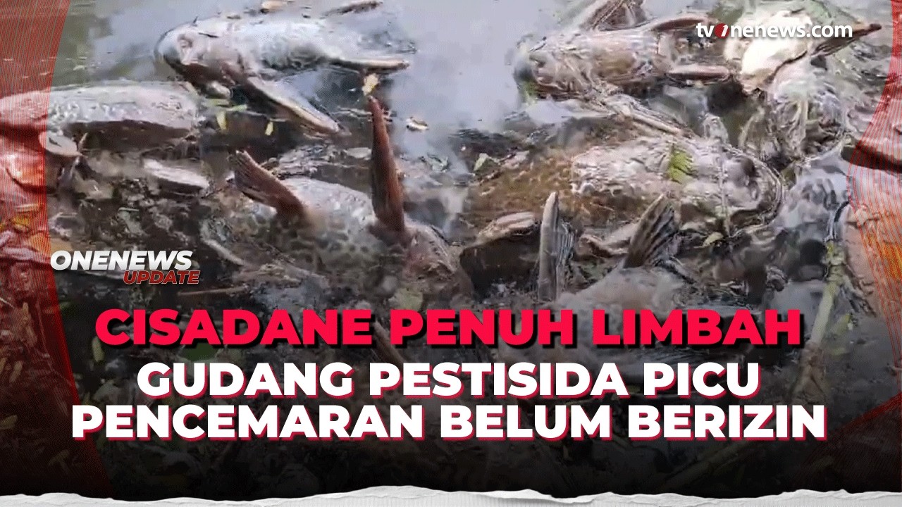 Sungai Cisadane Masih Tercemar, Perusahaan Pencemar Bakal Digugat Kementerian LH | OneNews Update