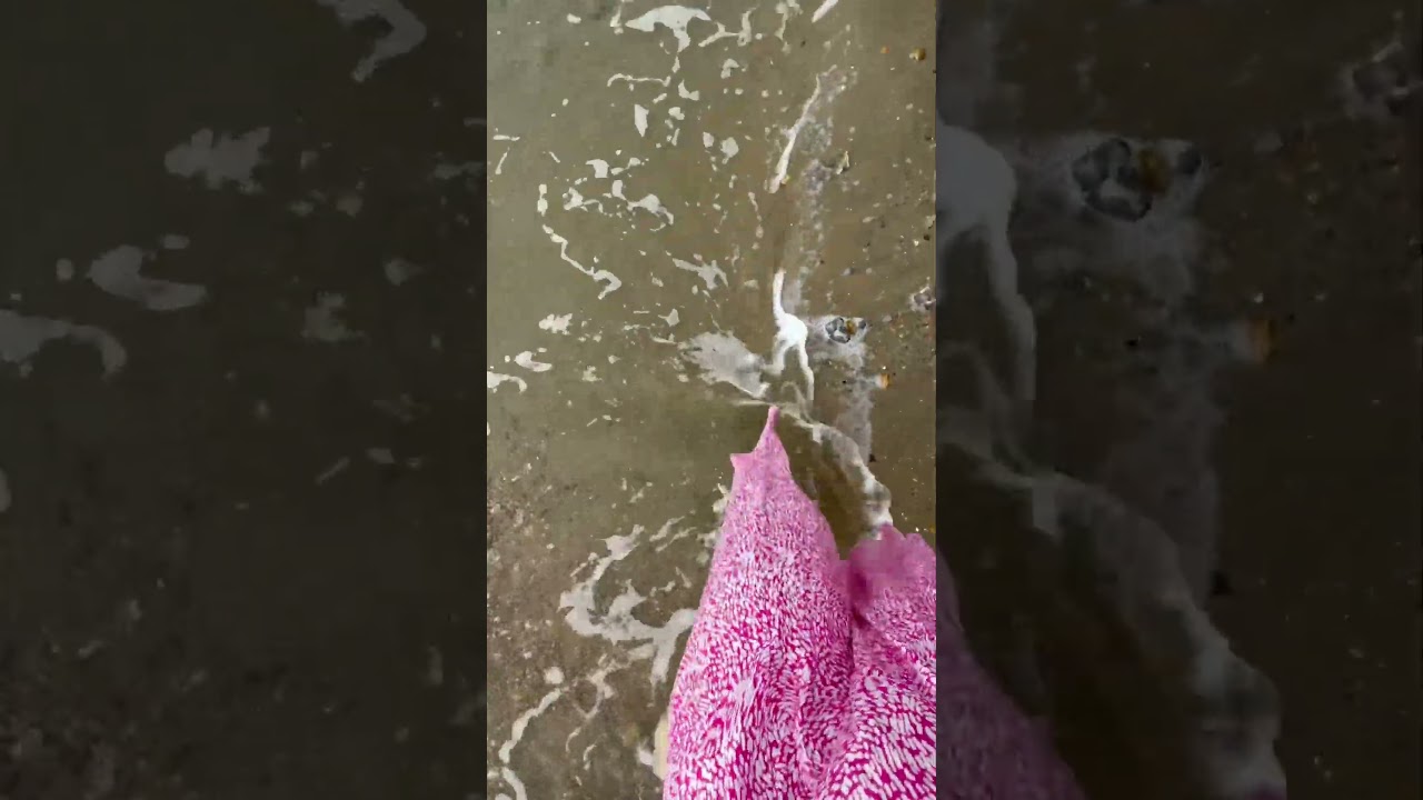 Barefoot walking by the ocean #barefoot #barefootwalking #ocean #oceanwaves #waves #crashingwaves
