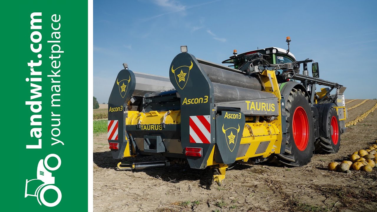 Kürbisernte in neuer Dimension  landwirt.com