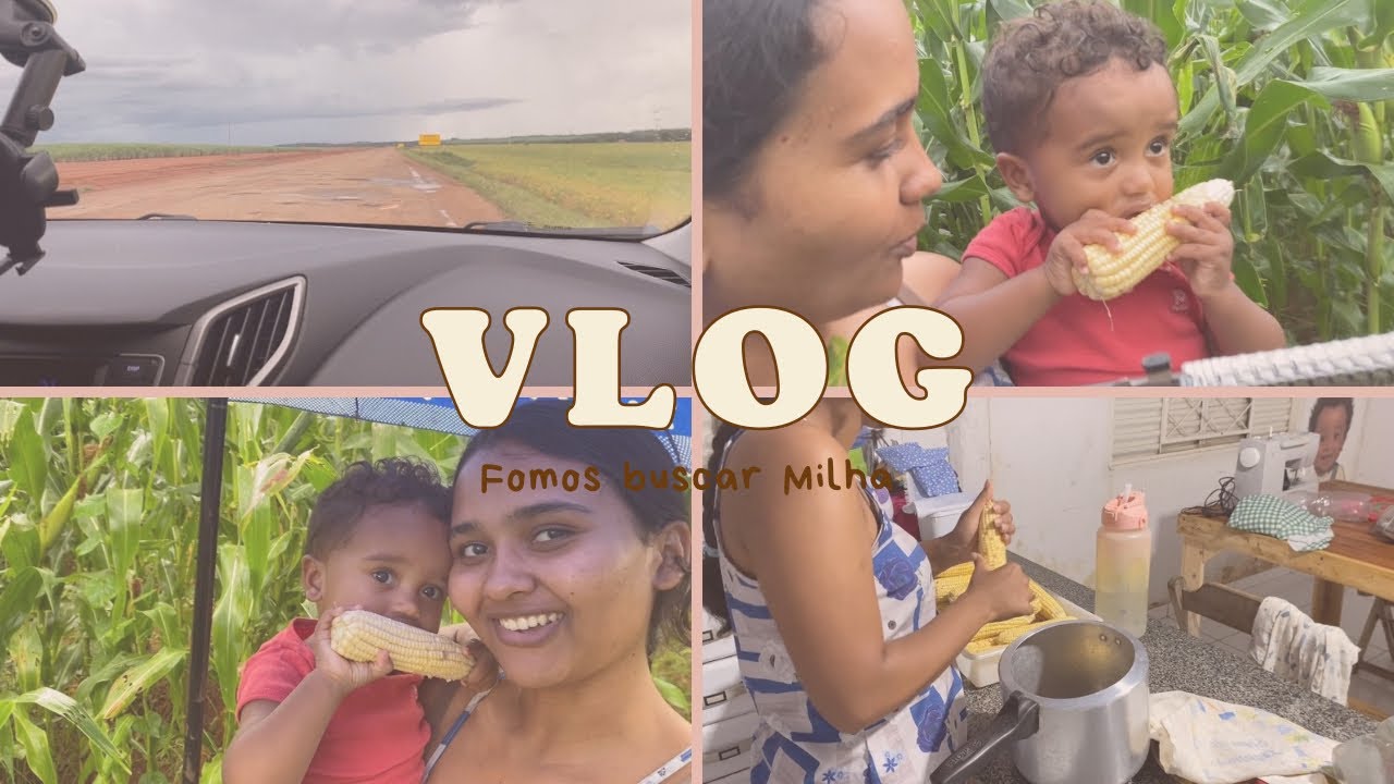 Fomos buscar milho na lavoura 🌽