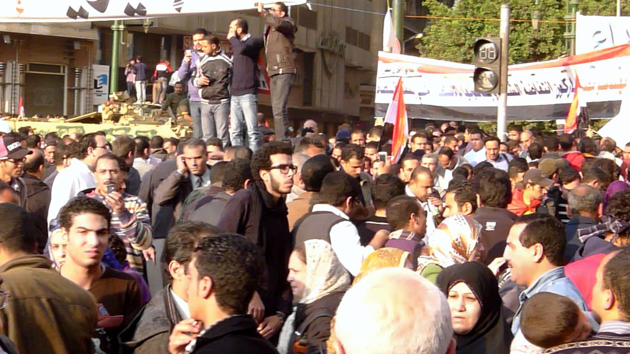 Biladi, Biladi, Biladi. Egyptian Revolution, Tahrir Square. February 8, 2011.