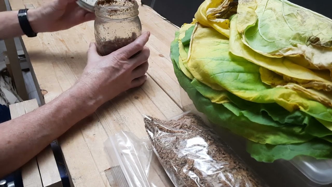 Curing, storing and aging tobacco grown indoors.