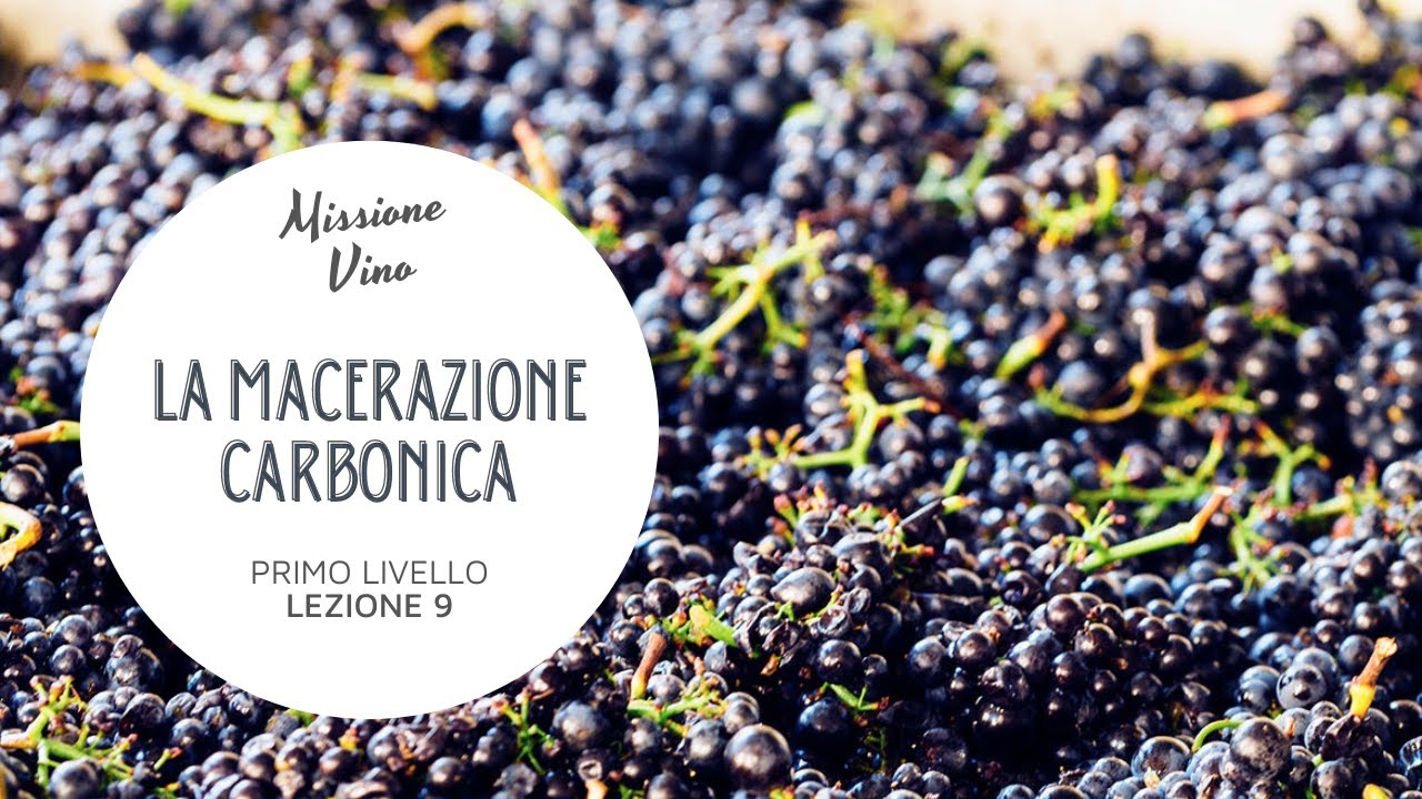 Lezione 9: Come si fa il vino novello - La macerazione carbonica