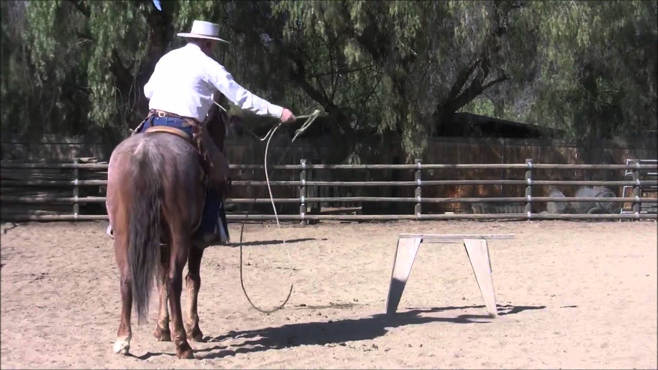 Roping Shot Recap