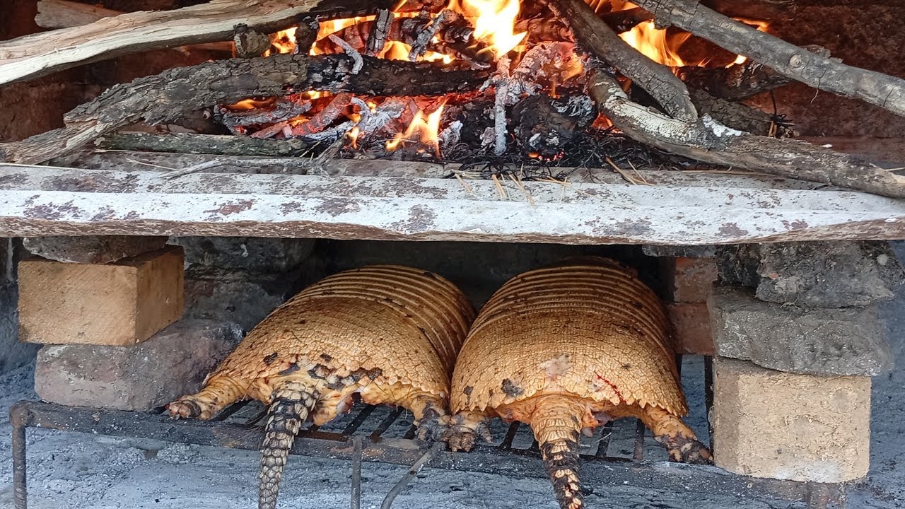 COMIDA EXOTICA y rececho a un BUEN PADRILLO (caza de jabali)