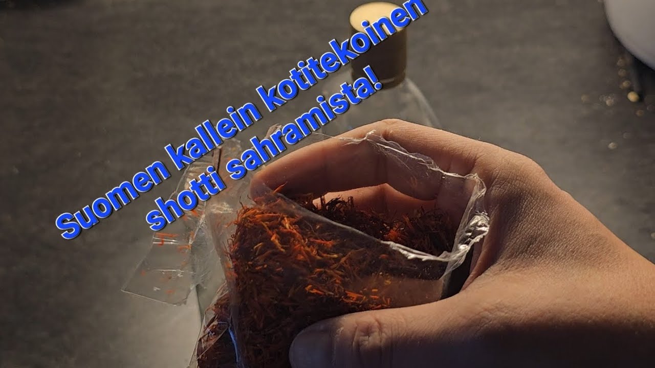 Suomen kallein sahrami shotti!