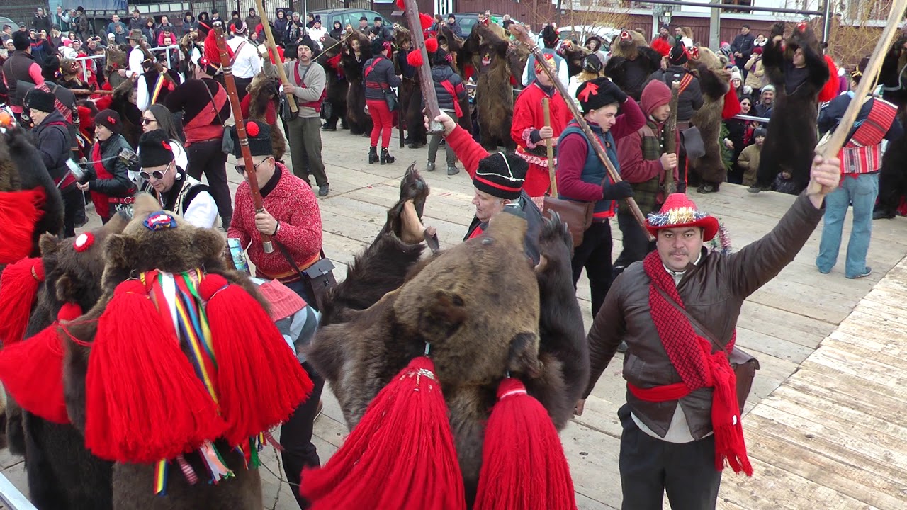 Urs Darmanesti 2017 - Ceata Joseni  - 1